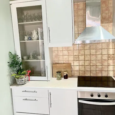 公寓 Maisonette Ralia 扎金索斯镇